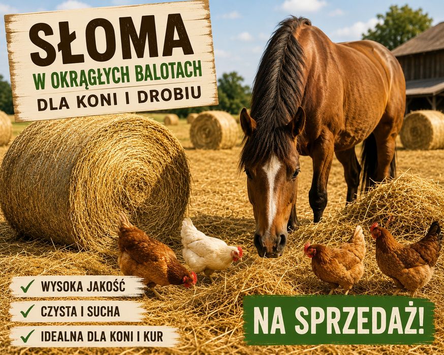 Słoma baloty kostka