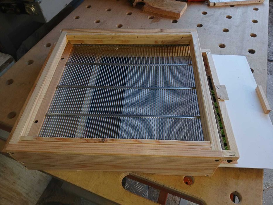 Dennica wielkopolska do poławiania pyłku