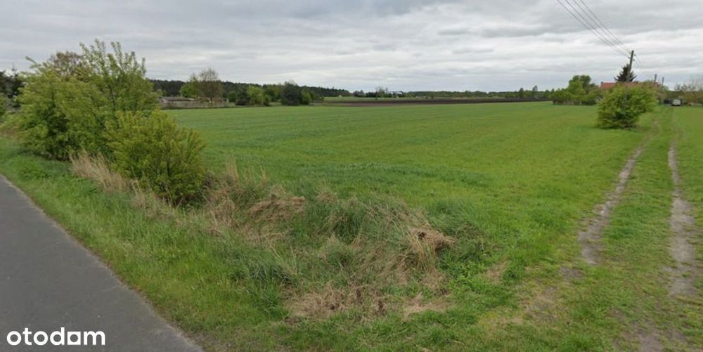 Działka rolna 3ha - Józefów