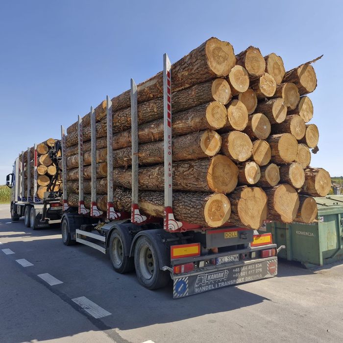 Sosna świerk tartaczny 4 5 6 12