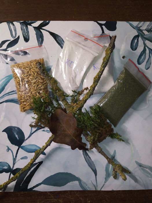 Бокс для равликів