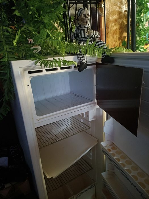 Холодильник с морозилкой