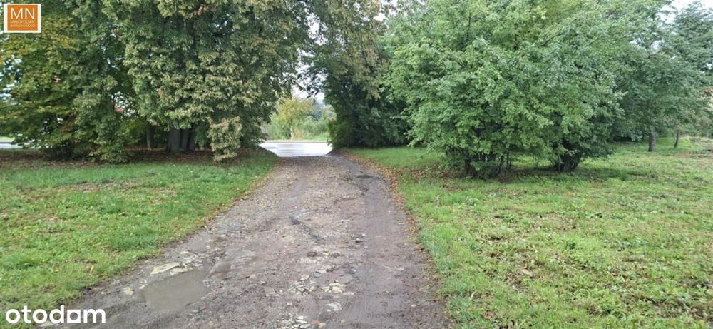 Widok bezcenny, 26a dla Dewelopera, Miechów,
