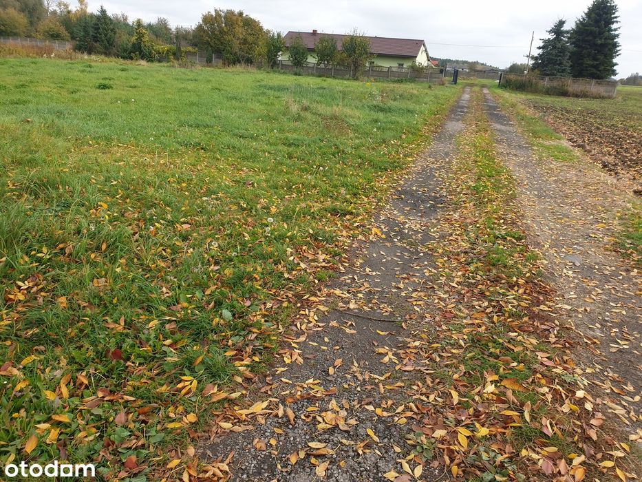 Działka w świetnej lokalizacji - Widok 2