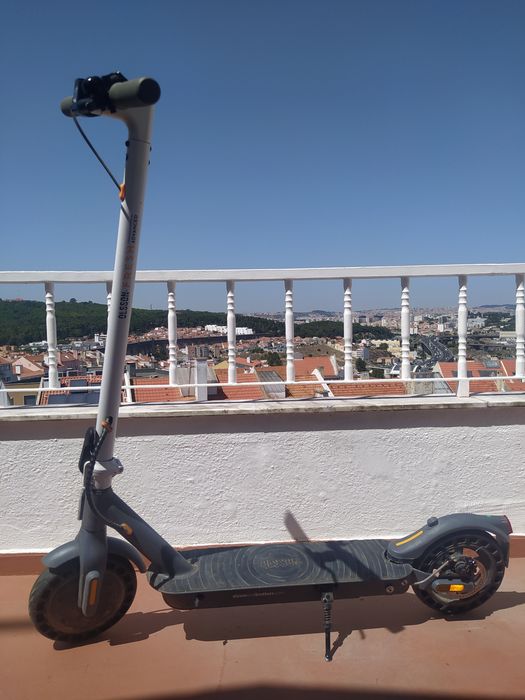 Trotinete Olsson Fresh Advanced