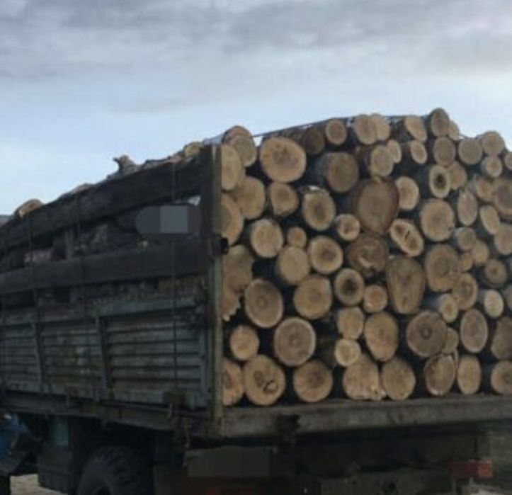 Продам дрова (дуб, граб, береза) Київ та область, доставка присутня