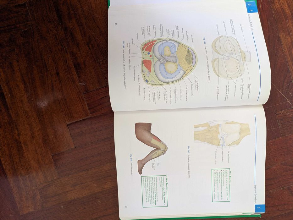 Atlas de Anatomia