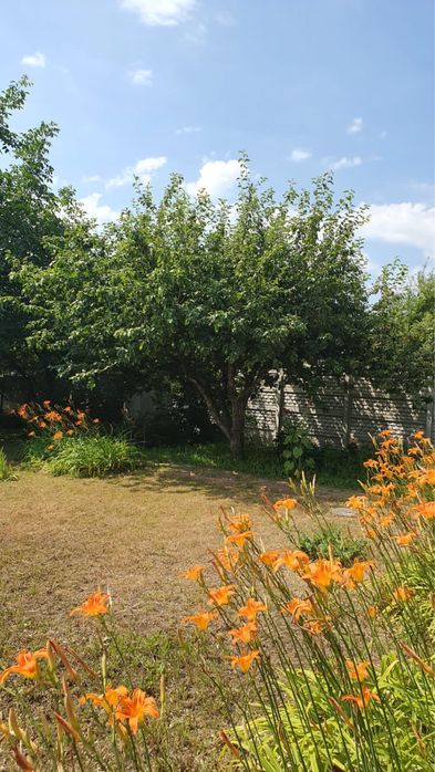 Продам свою дачу с дровяной печью  Рай-Еленовка