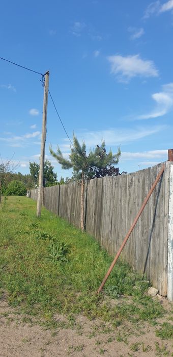 Ділянка 18,5 сот поруч з лісом, пилорама, госп.будівлі,с. Сінгури