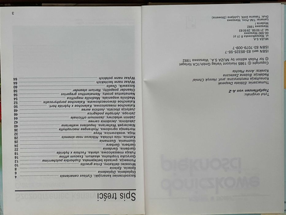 Doniczkowe piękności