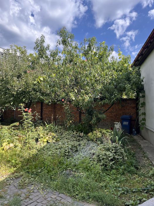 Будинок з потенціалом під житло чи бізнес рн вул. Руськоі