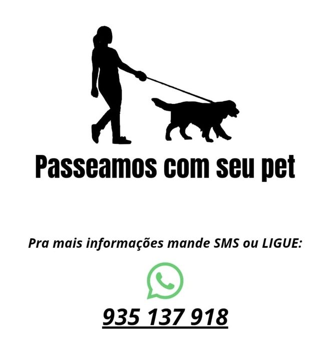 Passeio cães com carinho e responsabilidade