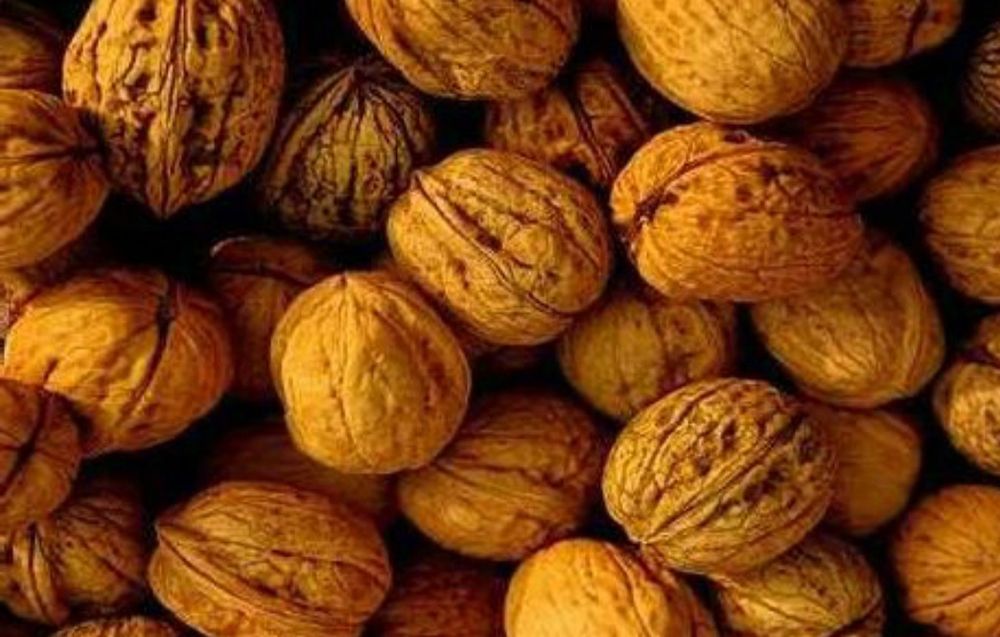 Orzechy włoskie całe