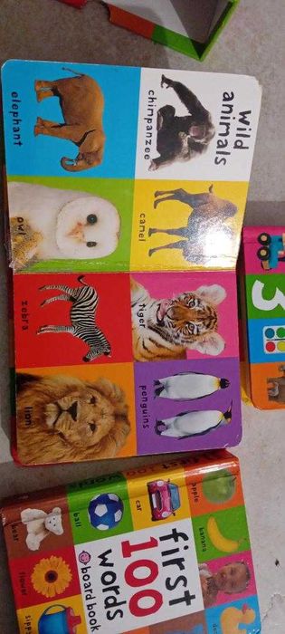 First 100 box set - 3 ksiazeczki w jez angielskim