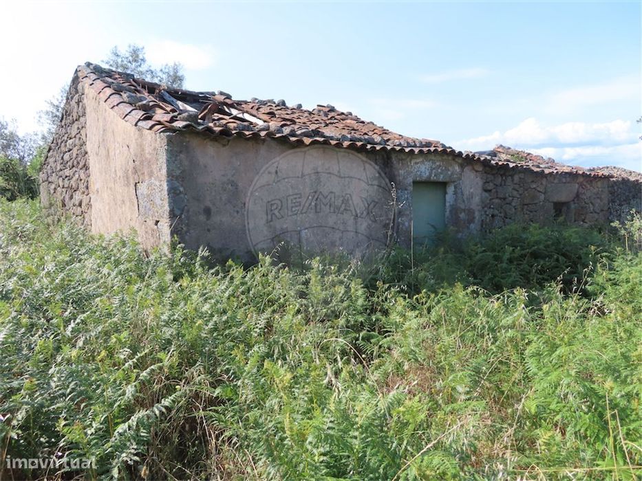 Quinta  para venda — Vale De Prazeres E Mata Da Rainha, Castelo Branco