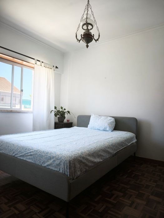 Arrendo quarto são domingos de rana