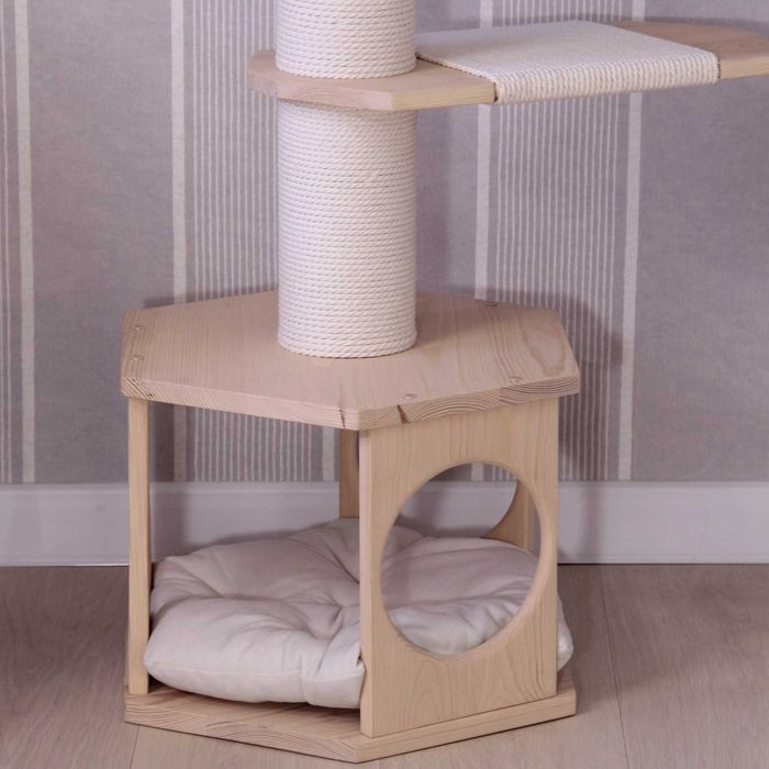 Котяче дерево з доміком