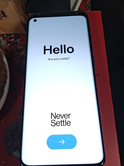 OnePlus 10 pro 12/256