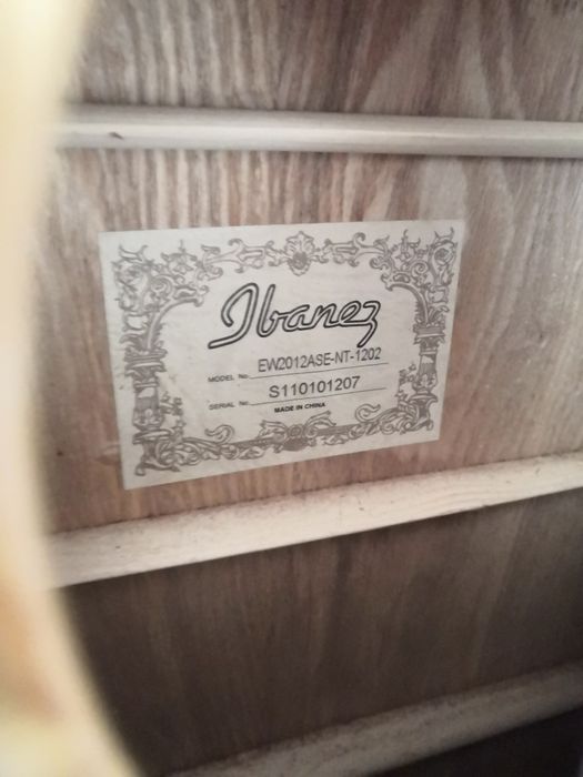 Ibanez ew20 12 strunowa