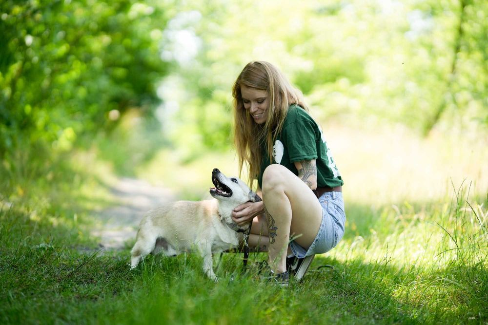 Kajtek - pies o złotym sercu szuka kochającego domu!