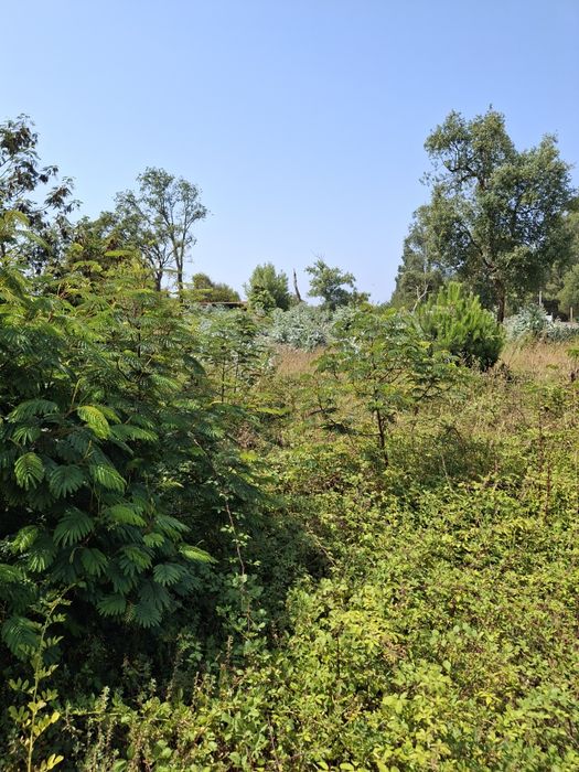 Terreno Rustico venda