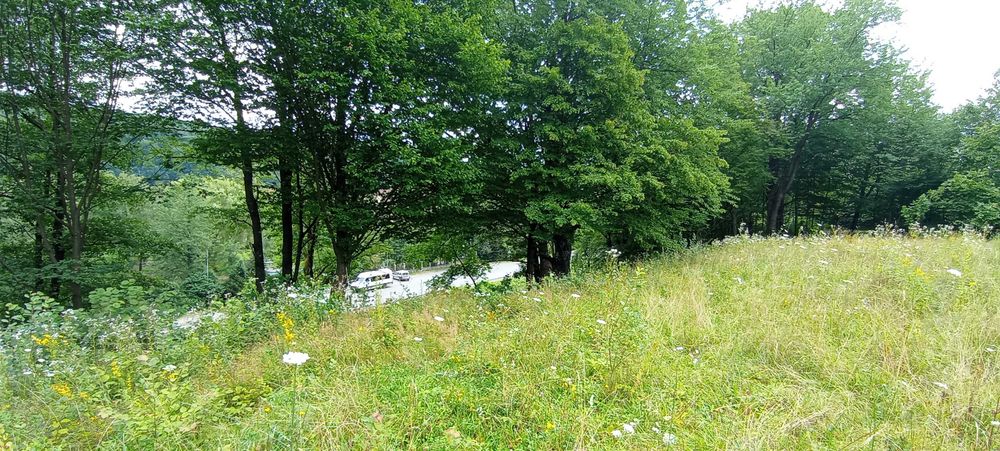 Ціну змінено! Продаємо ділянку у Квітки Полонини Солочин Закарпатськ