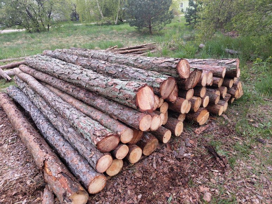 Ogród,Słupki,Słupy,Ogrodzenie