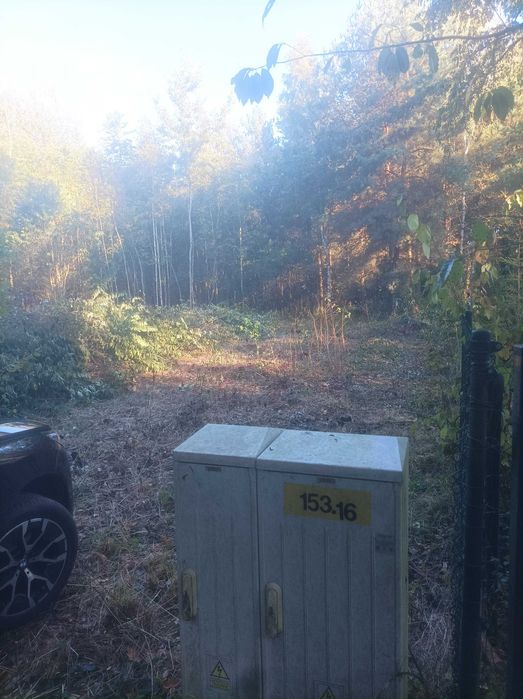 Działka budowlana, leśna w Ostrowinie