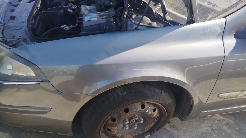 Guarda-lamas esquerdo RENAULT Laguna II (BG0/1_)