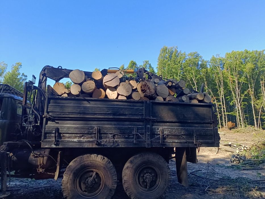 продам     дрова