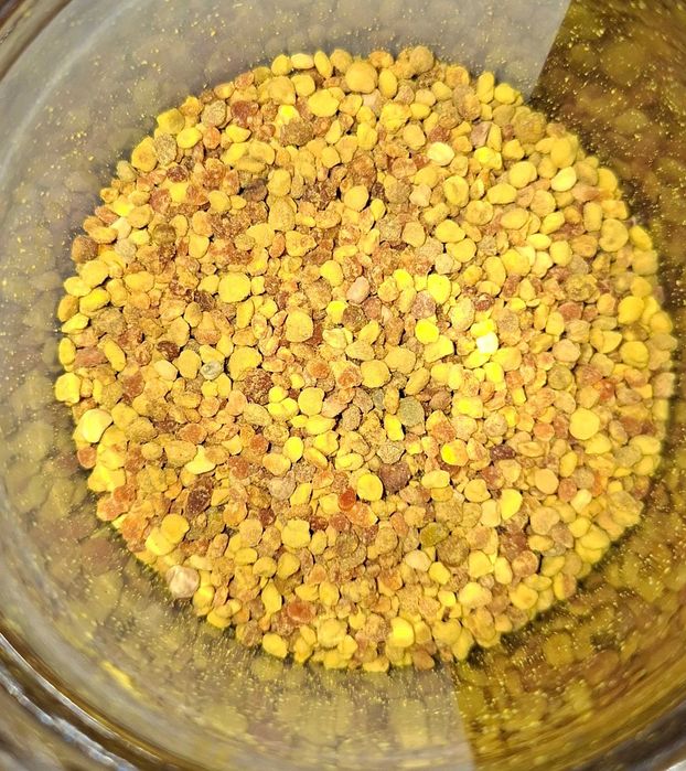 Ekologiczny PYŁEK PSZCZELI 100g – Świeży, Prosto z mojej pasieki na Warmii i Mazurach