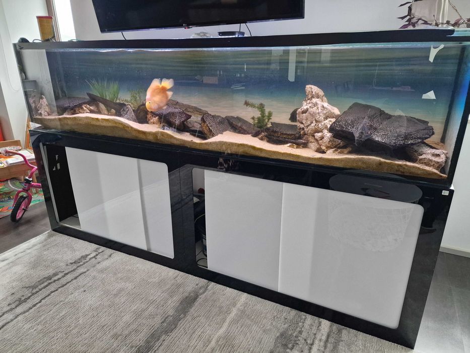 Aquario 2500mm completo
