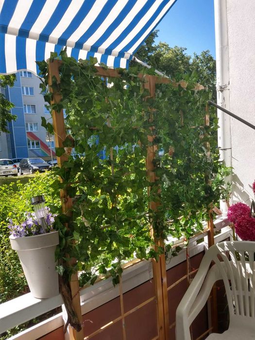 Sztuczny bluszcz 50 m na ścianę balkon taras dekoracja 50 metrów