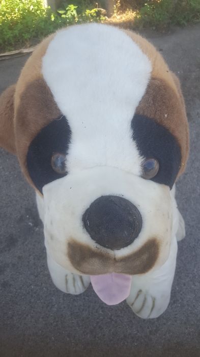 Cão  de  peluxe grande