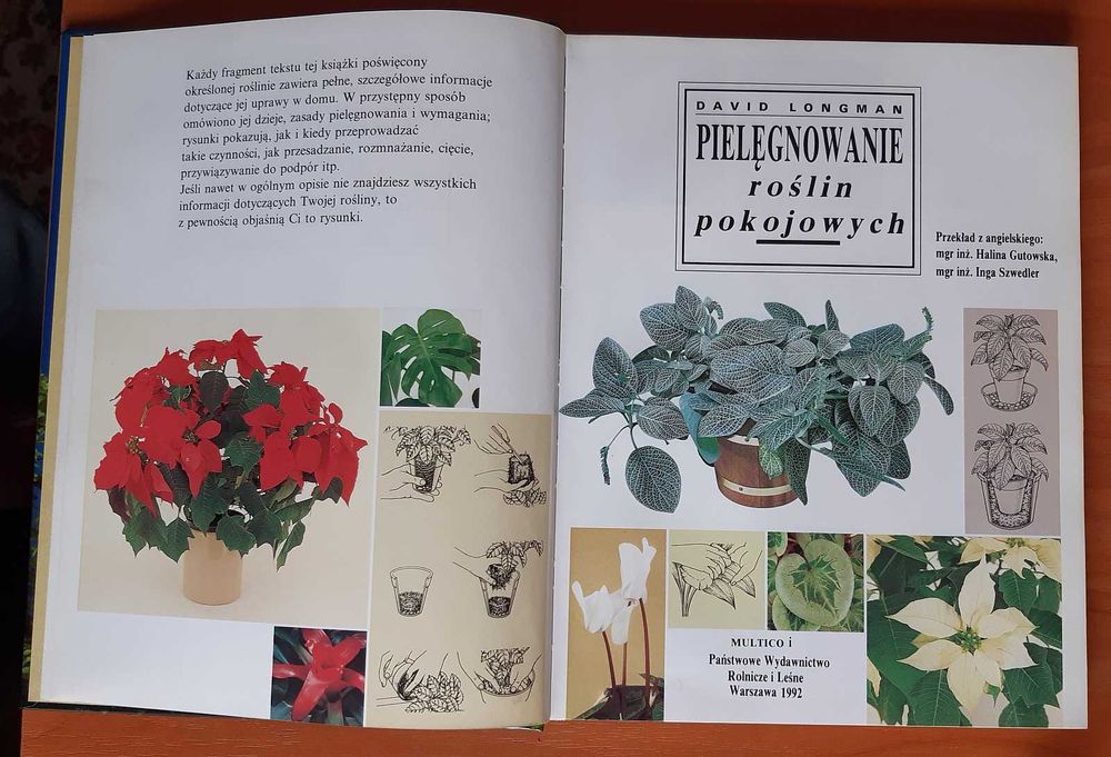 Pielęgnowanie roślin pokojowych - Longman