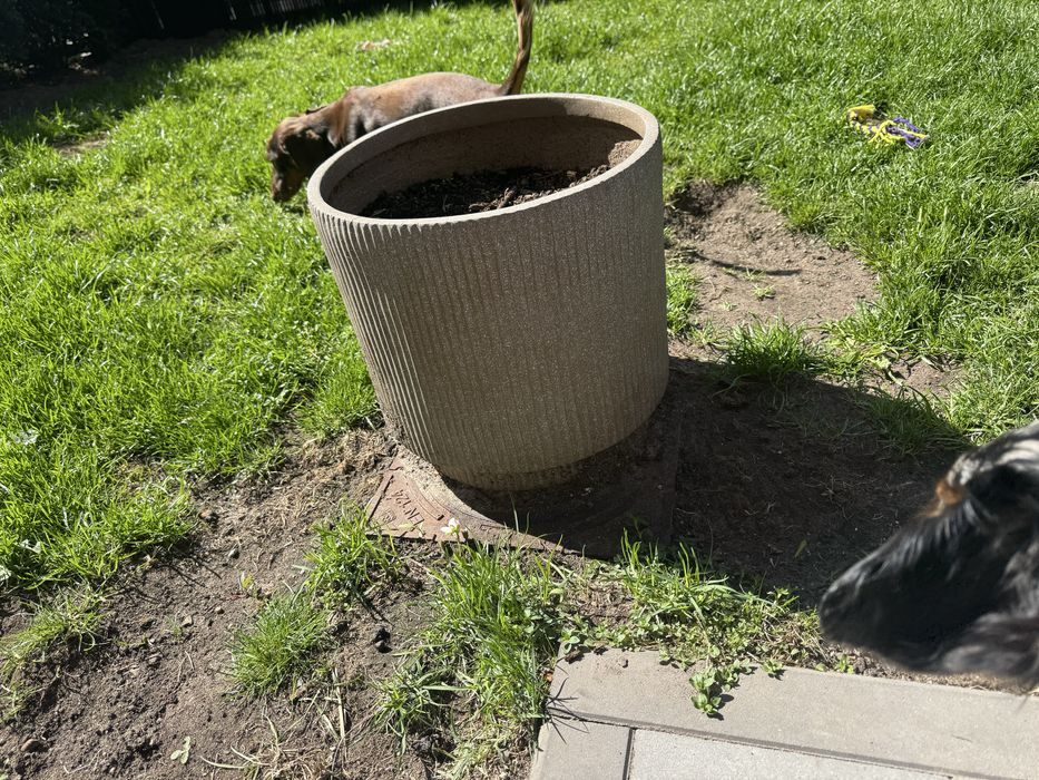 Donica szara ryflowana