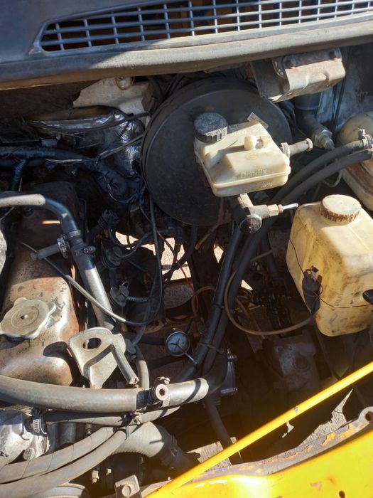 Рута 25 в отличном состоянии