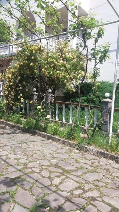 Будинок продажа в затишному місці