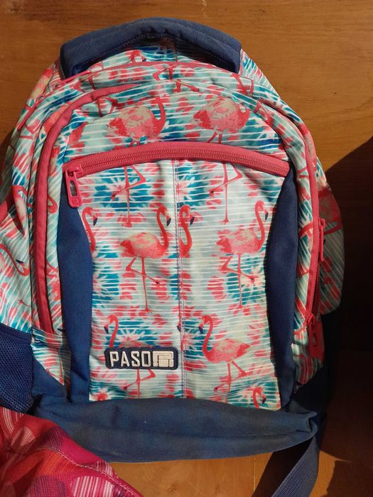 Plecak plecaki tornister saszetka dziecięcy używane zestaw