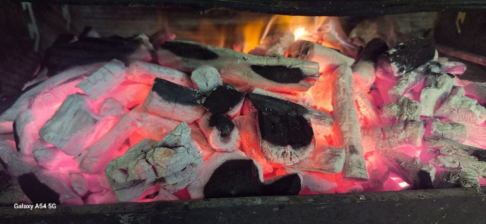 Carvão vegetal marabú