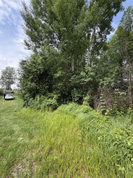 продам земельні ділянки в с.Пісківка