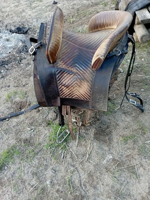 Sela à portuguesa n40, equitação