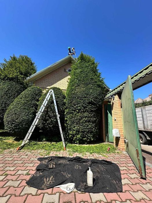 Садовник стрижка обрезка уборка осенью