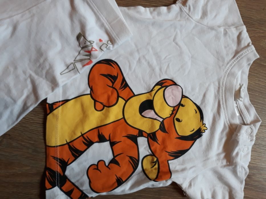 Zestaw t-shirt i leginsy tygrysek