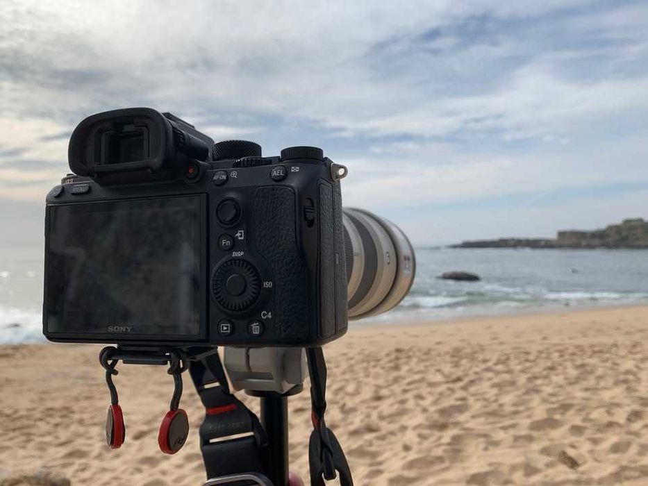 Sony A9 ILCE-9 Alpha 9 Shutter Count 419