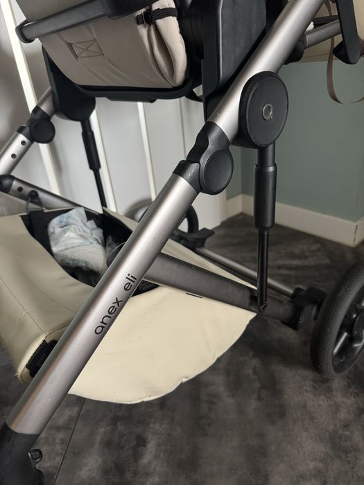 Anex Eli Muse 2024,