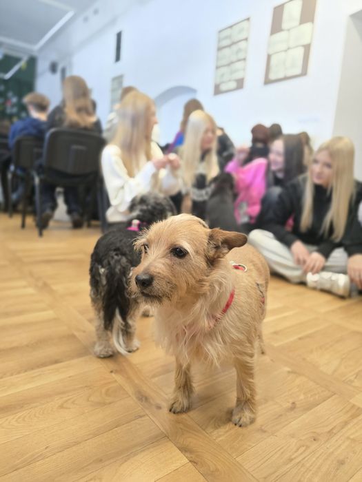 Kornelia tak długo czeka na dom