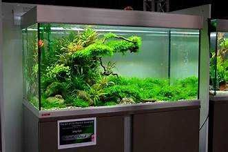 Fazendo aquários, vários trabalhos em vidro