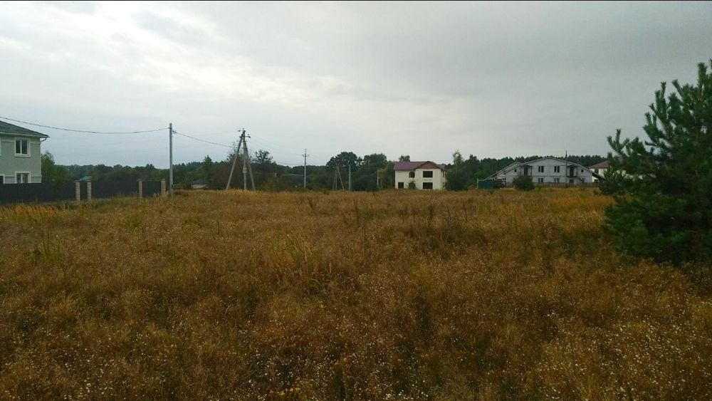 Земля 15,5 сот Липовий Скиток ВЛАСНИК
