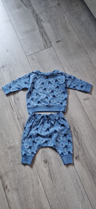 Next komplet dres dresik lwy zwierzątka